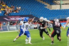 2608_Lions_vs_Allg_113