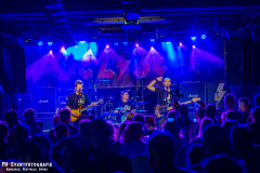 280924_Kufa_HI_01_Black_eyed_daisy_028