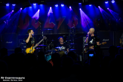 280924_Kufa_HI_01_Black_eyed_daisy_029