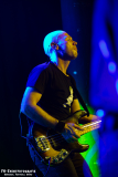280924_Kufa_HI_01_Black_eyed_daisy_035