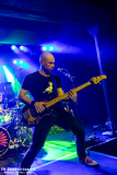 280924_Kufa_HI_01_Black_eyed_daisy_037