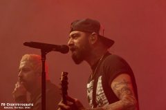 291124_West_02_Zebrahead_009