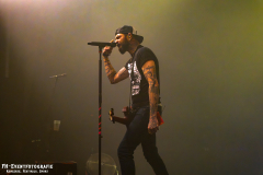 291124_West_02_Zebrahead_019