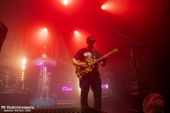 291124_West_02_Zebrahead_025