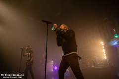 291124_West_02_Zebrahead_026