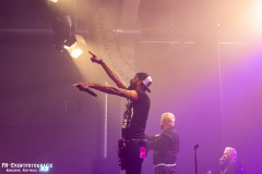 291124_West_02_Zebrahead_043