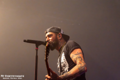 291124_West_02_Zebrahead_049