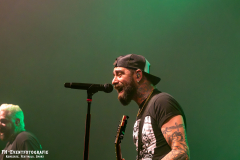 291124_West_02_Zebrahead_055