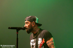 291124_West_02_Zebrahead_057