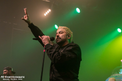 291124_West_02_Zebrahead_058