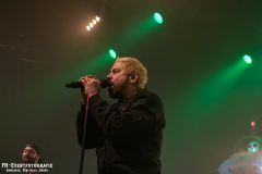291124_West_02_Zebrahead_060