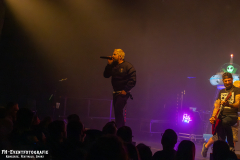 291124_West_02_Zebrahead_065
