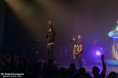 291124_West_02_Zebrahead_066
