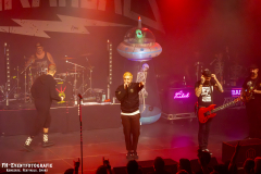 291124_West_02_Zebrahead_075