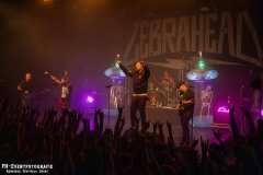291124_West_02_Zebrahead_077