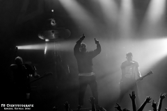 291124_West_02_Zebrahead_083