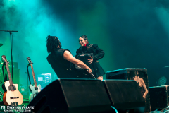 310125_VWBS_02_Gogol_Bordello_032