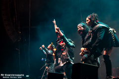 310125_VWBS_02_Gogol_Bordello_070