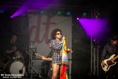 3108_Sued_05_FoxuBadger_004