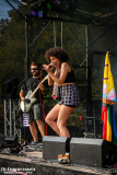 3108_Sued_05_FoxuBadger_022