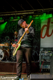 3108_Sued_05_FoxuBadger_024