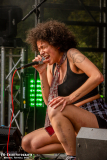 3108_Sued_05_FoxuBadger_025