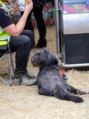HelmFest_Sa_2022_139