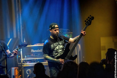 02_Arrestor_H_D_24032023_029