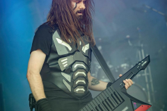03_MFOA23_Fr_kambrium_41