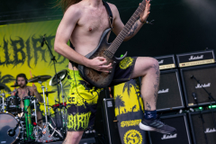 160624_MFOA_04_Stillbirth_029