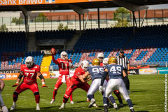 Lions_Dresden_2108_2022_061