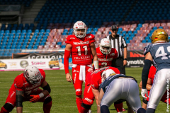 Lions_Dresden_2108_2022_062