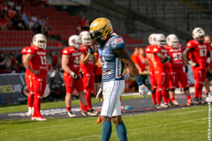 Lions_Dresden_2108_2022_063