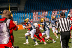 Lions_Dresden_2108_2022_066