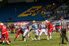 Lions_Dresden_2108_2022_067