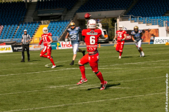 Lions_Dresden_2108_2022_073