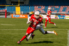 Lions_Dresden_2108_2022_075