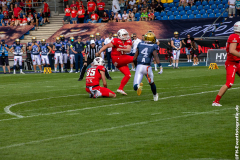 Lions_Dresden_2108_2022_080
