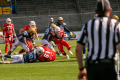 Lions_Dresden_2108_2022_088
