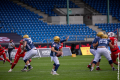 Lions_Dresden_2108_2022_091