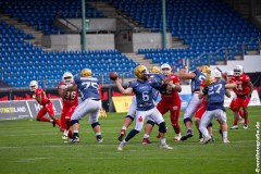 Lions_Dresden_2108_2022_092