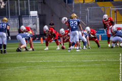 Lions_Dresden_2108_2022_093