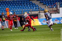 Lions_Dresden_2108_2022_095
