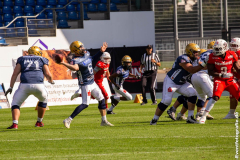 Lions_Dresden_2108_2022_099