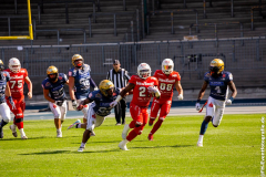 Lions_Dresden_2108_2022_102