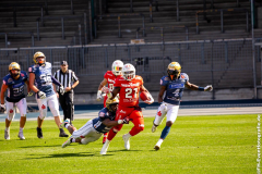 Lions_Dresden_2108_2022_103