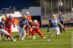 Lions_Dresden_2108_2022_104