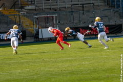 Lions_Dresden_2108_2022_106