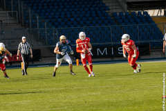 Lions_Dresden_2108_2022_107