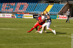 Lions_Dresden_2108_2022_115